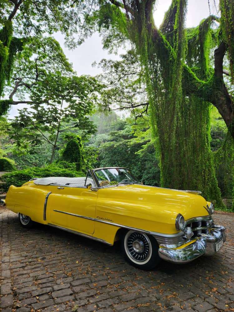 [3 Hour Old Car Tour in Havana]: Tour Havana in a classic.